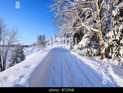 Christmas morning after a fresh snowfall in Bell Park, Sudbury, Ontario, Canada Stock Photo