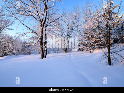 Christmas morning after a fresh snowfall in Bell Park, Sudbury, Ontario, Canada Stock Photo