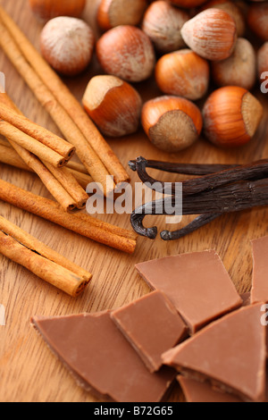 Hazelnuts Cinnamon Sticks Vanilla Beans and Chocolate Stock Photo