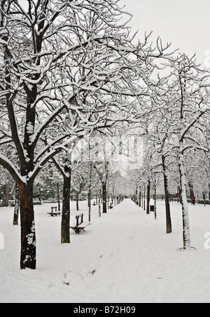 Trees and benches covered in snow at the Retiro Park in Madrid Stock Photo