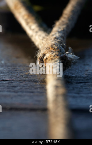 ships rope tied to pier bollard county down Northern Ireland UK Stock Photo