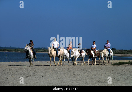 Horseriding on White Camargue Horses Along Bank or Shores of the Etang (or Lake) Vaccarès, Camargue, Provence, France Stock Photo