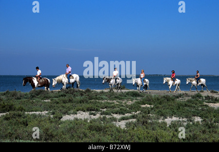 Horseriding on White Camargue Horses Along the Shores or Banks of the Etang (or Lake) Vaccarès, Camargue, Provence, France Stock Photo