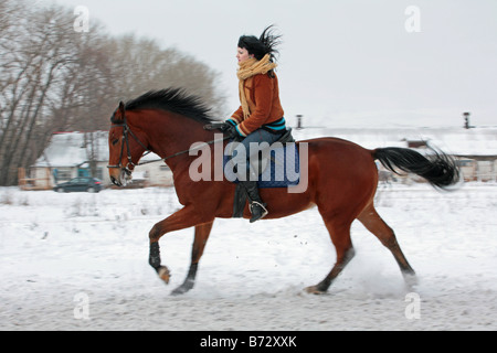 Lady rider galloping on a bay horse in front of a field of snow Stock Photo