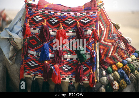 Brightly colored camel blanket on the hump of a camel in Egypt. Stock Photo
