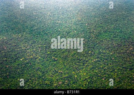 Suriname, Laduani, at the bank of the Boven Suriname river. Aerial of forest. Stock Photo
