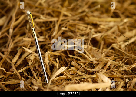 needle in a hay stack an eggscellent eggvanture