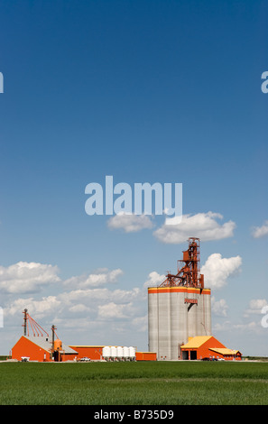 A grain storage facility operated by Pioneer in Carseland, south central Alberta, Canada. Stock Photo