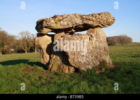 Long Cairn burial chamber at St Lythans near Cardiff, Wales Stock Photo