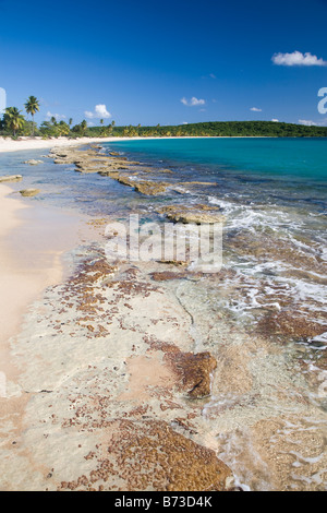 A beach in Vieques Puerto Rico Stock Photo