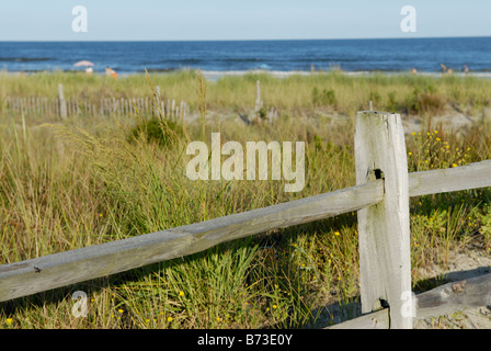 Beach with protected grasses on dunes for stabilzation and preservation from erosion, Avalon, New Jersey. Stock Photo