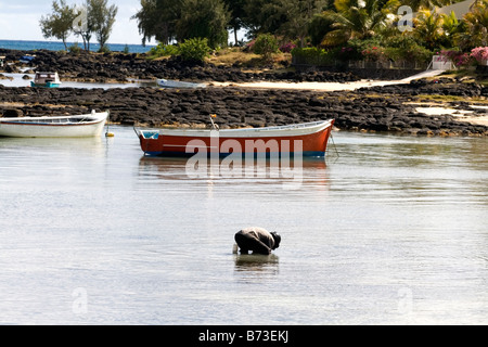 Lost keys? - Man wearing a motor bike helmet searching in the warm tropical sea with boats, beach and trees. Stock Photo