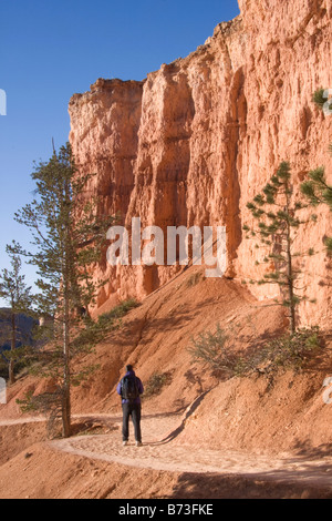 A hiker enjoys the views along the Queens Garden Trail in Bryce Amphitheater Bryce Canyon National Park Utah Stock Photo