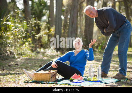 Senior couple having picnic in park, smiling Stock Photo