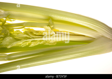 Bunch of Pascal Celery Stock Photo