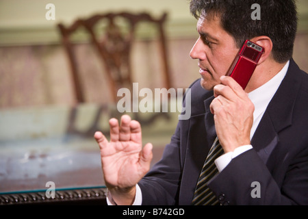 Middle-aged businessman using mobile phone, gesturing Stock Photo