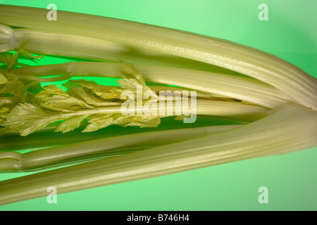 Bunch of Pascal Celery Stock Photo