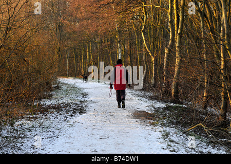 man in red walking dog on snow covered path in stenner woods, didsbury Stock Photo