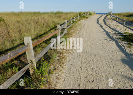 Path to the beach, Avalon, New Jersey Stock Photo