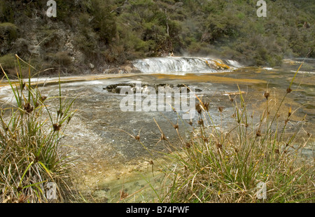 The Warbrick Terrace at Waimangu Volcanic Valley near Rotorua, New Zealand Stock Photo