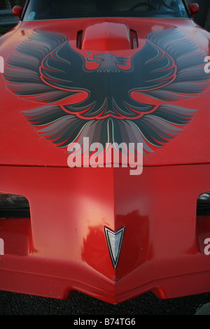 Red Pontiac Firebird Trans am car hood Stock Photo