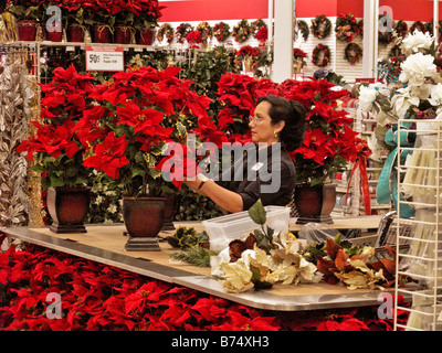 A gift store clerk assembles Christmas season artificial poinsettia bouquets in Aliso Viejo CA Stock Photo