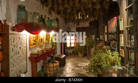 Mallorca Sa Granja country house apothecary laboratory with herbs and simples for extracting medical tinctures Stock Photo