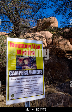 Sign warning campers and hikers about mountain lion activity in the Peavine trail in the Granite Dells outside of Prescott Stock Photo