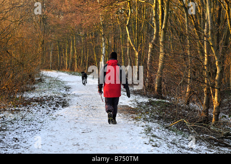 man in red walking dog on snow covered path in stenner woods, didsbury Stock Photo