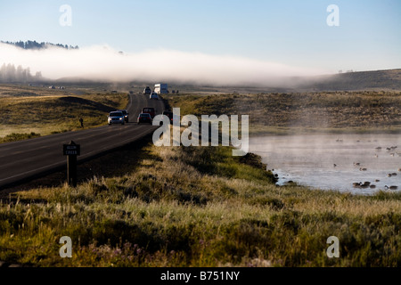 Tourists watching bison near Alum Creek, in  Hayden Valley, Yellowstone National Park, Wyoming, USA Stock Photo