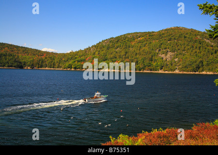 Lobsterman, Somes Sound, Sargent Drive, Acadia National Park, Maine, USA Stock Photo