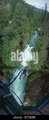 Bungee jumping, Whistler, BC, Canada Stock Photo