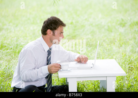 One mid adult man using laptop in lawn Stock Photo