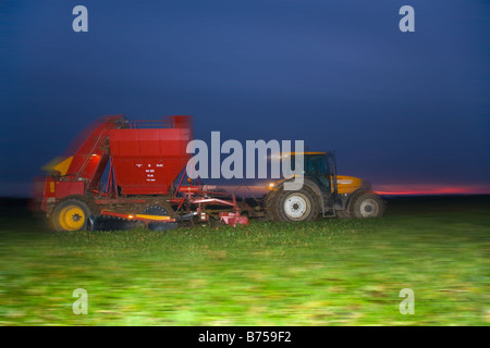 Sugar Beet Harvesting Norfolk & Winter Sunset Stock Photo