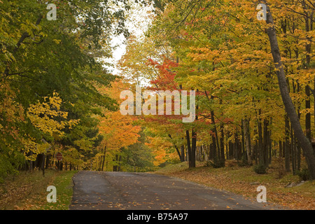 WISCONSIN - Autumn foliage along the road up Rib Mountain in Rib Mountain State Park near Wausau Stock Photo