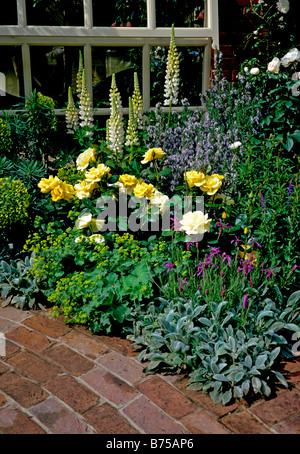 Soft pastel border flowering against brick paving and conservatory wall Stock Photo