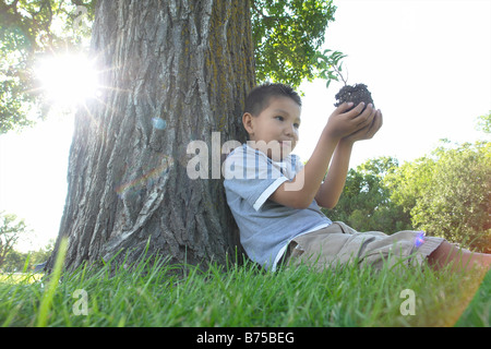 Six year old boy holds small tree, seated beside large tree, Winnipeg, Canada Stock Photo