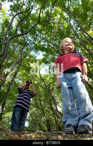 Four and six year old brothers on walking trail in forest, Winnipeg, Canada Stock Photo