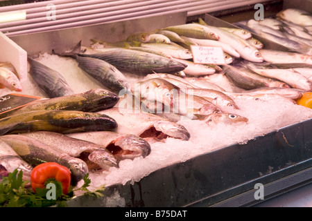 Fish at a market stall Stock Photo