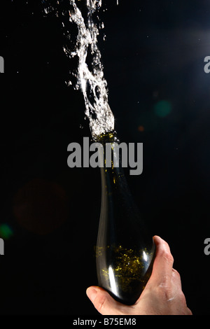 Champagne bursting from a bottle on black background. Stock Photo