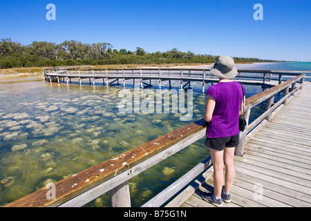 A tourist looking at the thrombolites at Lake Clifton in Yalgorup National Park, near Perth, Western Australia Stock Photo