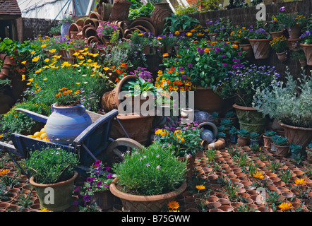 Pottery display with planted flowers and containers Stock Photo