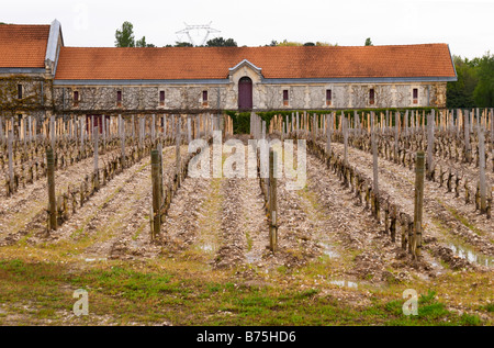 winery building vineyard chateau la garde pessac leognan graves bordeaux france Stock Photo