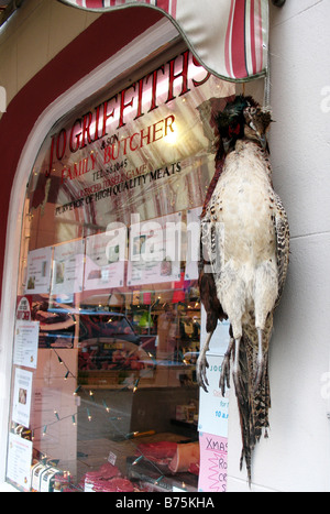 Pheasants outside butchers in Narberth Pembrokeshire West Wales Stock Photo