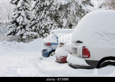 Automobiles buried in snow after snowstorm Victoria British Columbia Canada Stock Photo