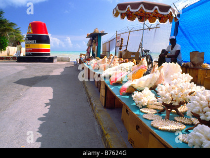 shell dealer at southernmost point in the USA at Key West Florida Keys Stock Photo