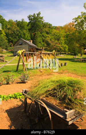 Harvested Flax and Drying Tobacco, Humpback Rocks Farmstead, Blue Ridge Parkway, Virginia, USA Stock Photo