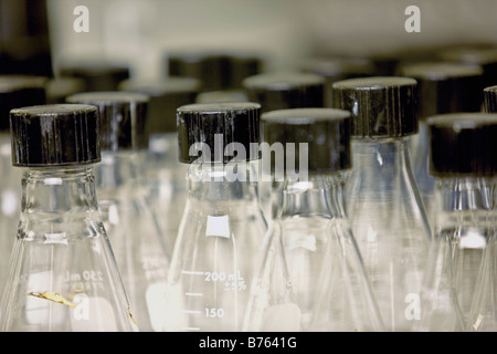 Glass beakers in laboratory, close-up Stock Photo