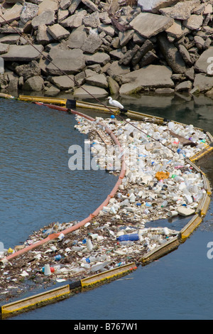 Snowy Egret, Plastic debris and other garbage collecting in Los Cerritos Channel, Long Beach, California, USA Stock Photo