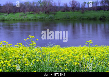 Summer view of Oka river in Russian countryside near ancient town Tarusa Stock Photo